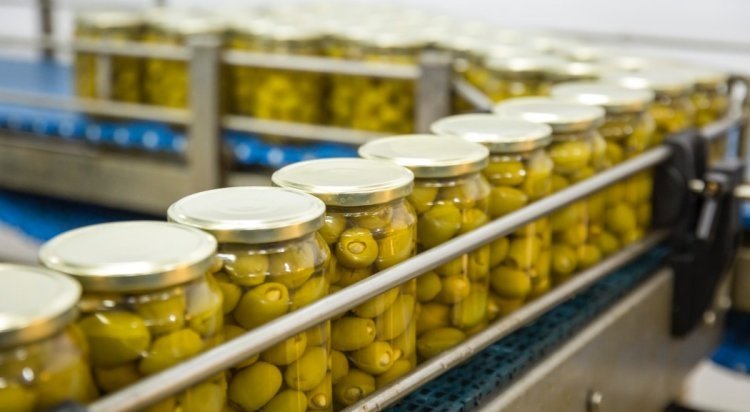 
Viglia Olives jars in production line