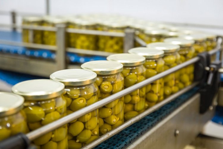 Viglia Olives jars in production line