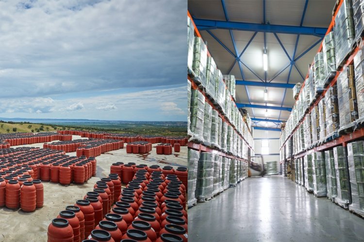 Packing, storing and logistics facilities at Viglia Olives